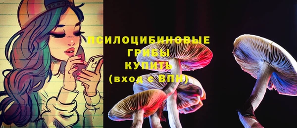 кристаллы Абаза