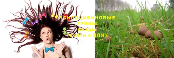 мет Абинск