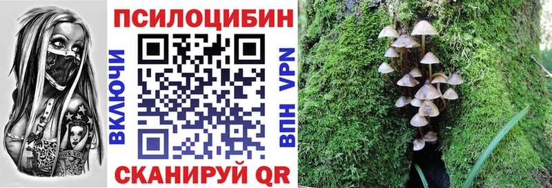 наркошоп  Абакан  Галлюциногенные грибы GOLDEN TEACHER 